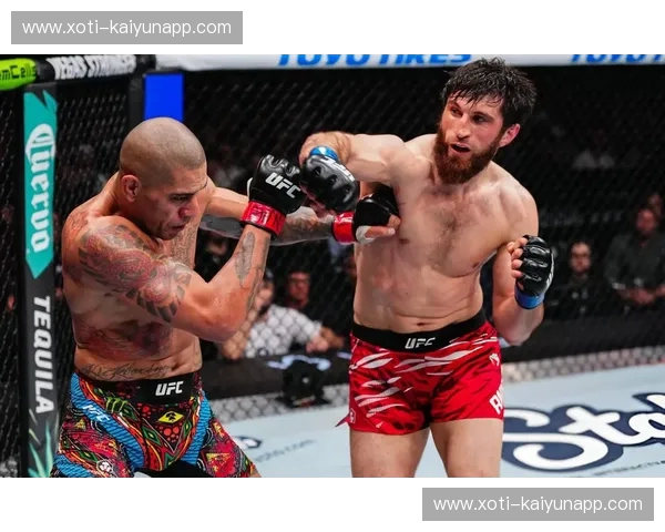 宿命之战：当“西伯利亚神鹰”撞上“爱尔兰狂人”，那场改变UFC格局的巅峰对决